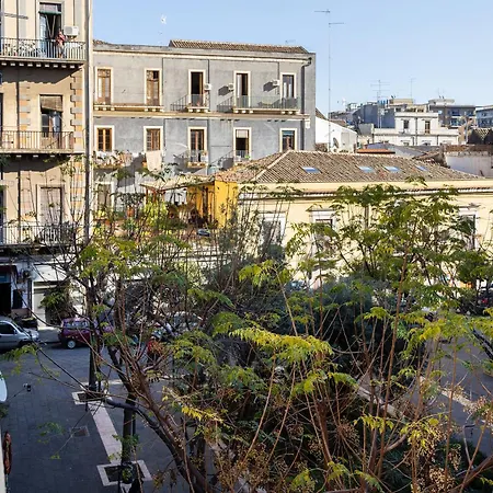 Zanna 4* Κατάνια